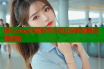糖心vlog在哪些平台可以搜索观看详细指南
