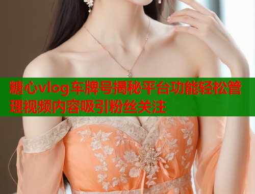 糖心vlog车牌号揭秘平台功能轻松管理视频内容吸引粉丝关注  第1张