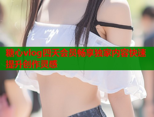 糖心vlog四天会员畅享独家内容快速提升创作灵感  第2张