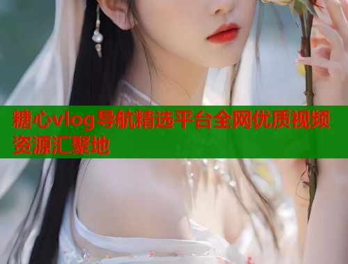 糖心vlog导航精选平台全网优质视频资源汇聚地  第1张