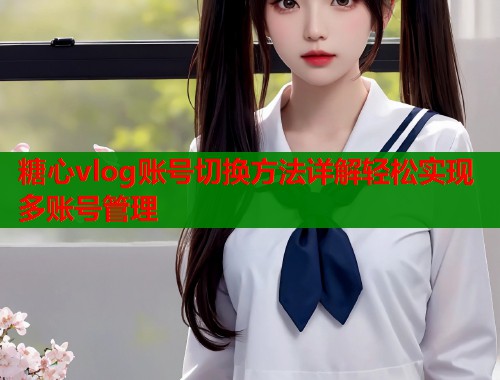 糖心vlog账号切换方法详解轻松实现多账号管理  第2张